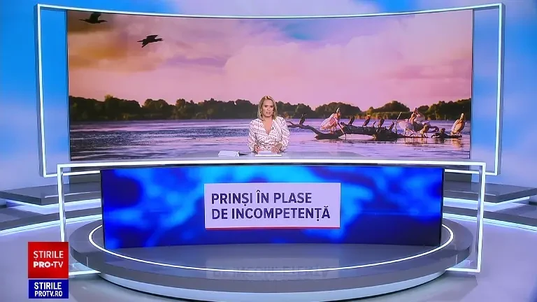 Cum au ajuns cormoranii pretext de făcut bani. Schema prin care se fac profituri substanțiale din lipsa producției de pește