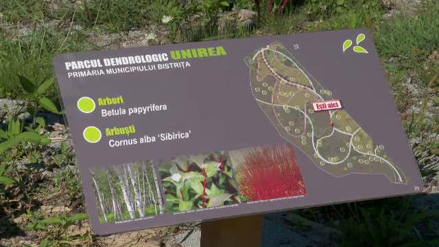 Investiție de 6 milioane de lei într-un parc dendrologic pe care nu îl vizitează nimeni. Oamenii nici nu au auzit de zonă