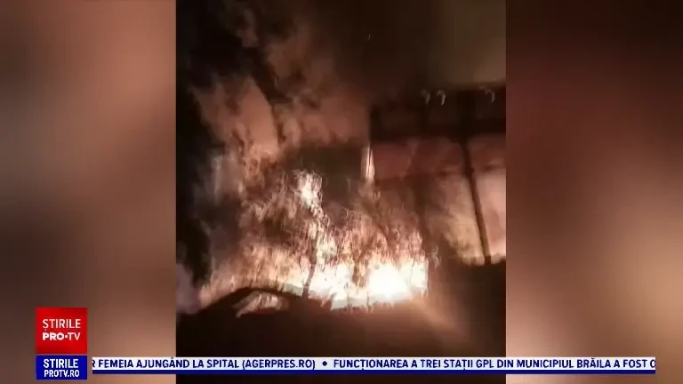Incendiu de vegetație cu flăcări uriașe, la Târgu Jiu. Flăcări uriașe, mai mari decât o casă