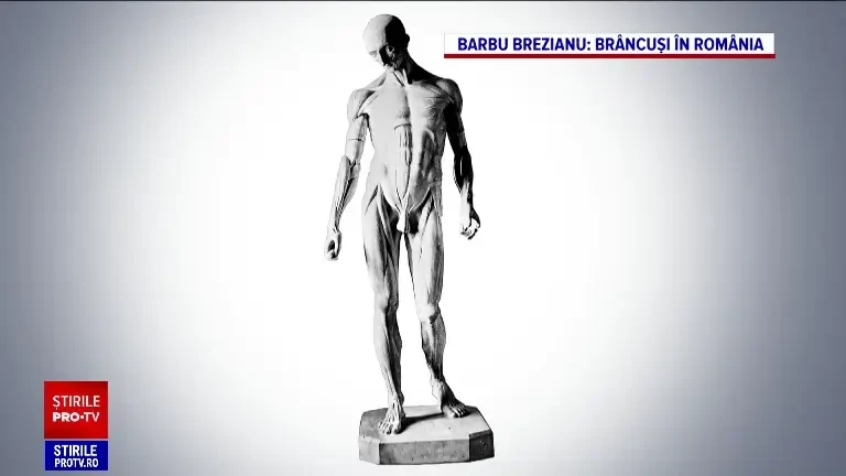 Operele lui Brâncuși, expuse la Muzeul Național de Artă din Timișoara. Valoarea totală estimată - jumătate de miliard de euro
