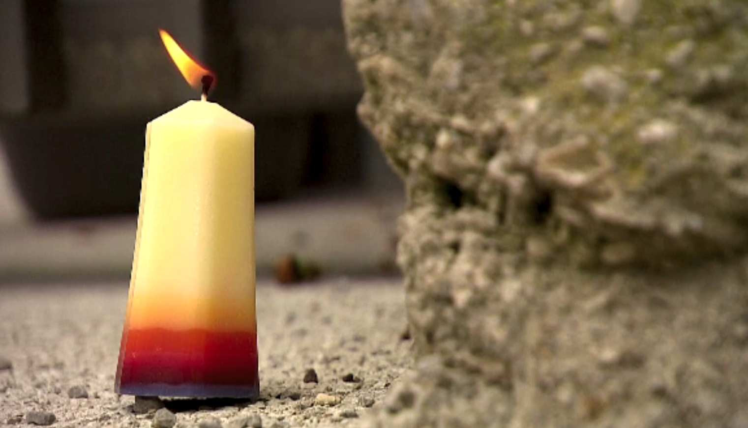 Îngrijitoare ucisă de un rinocer, la o grădină zoologică din Austria. Ce făcea în acel moment