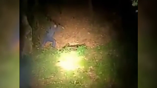 Scene revoltătoare cu un bărbat care lovește în cap un urs. Polițiștii încearcă să găsească făptașul