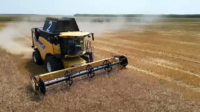 Ajutor pentru fermierii afectați de importurile ucrainene. Guvernul se pregătește să ia noi măsuri de sprijin