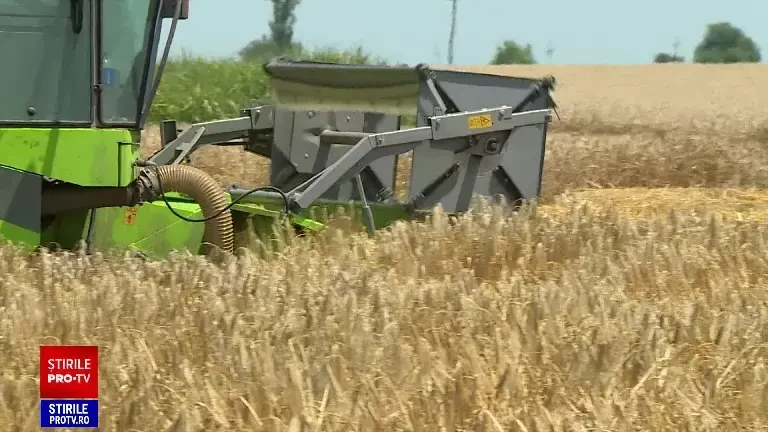 Ajutor pentru fermierii afectați de importurile ucrainene. Guvernul se pregătește să ia noi măsuri de sprijin