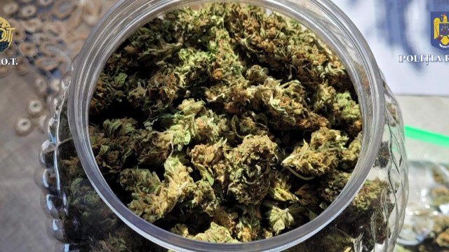 Șapte persoane bănuite de trafic de droguri au fost arestate pentru 30 de zile. Surse: Patru polițiști au fost răniți ușor