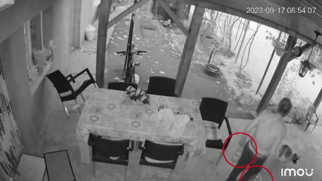 Localnici terorizați de un hoț care le intră în cămări. „A crezut că-i țuică, dar a băut din uleiul pentru mașina de cusut”