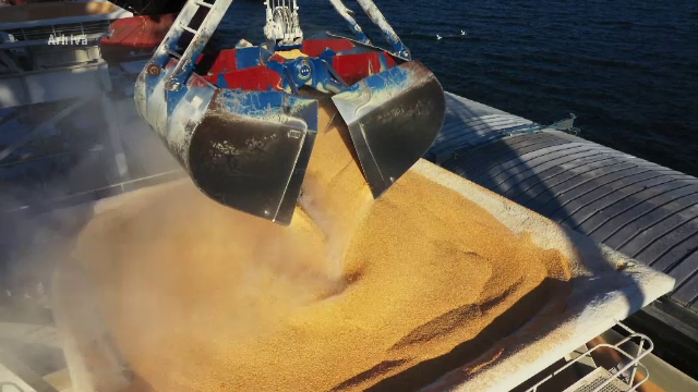 Ucraina impune controale mai stricte asupra exportatorilor de cereale. Guvernul vrea să elimine firmele fantomă