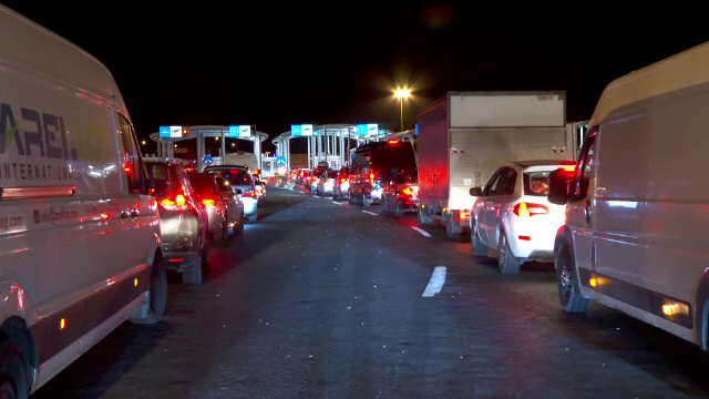 Migranți din trei țări, prinși când încercau să iasă ilegal din România. Erau ascunși printre plăci de pal într-un TIR