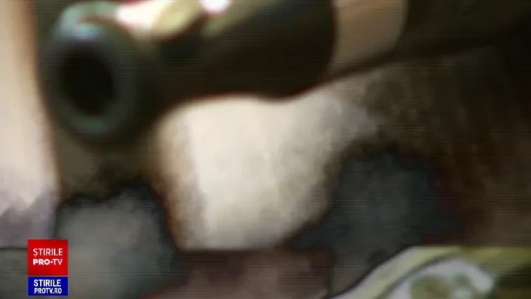 Operațiunea „Fabrica de vise”. Peste 100.000 de dispozitive de vapat conțineau substanțe psihoactive. „Nu vindem la minori”