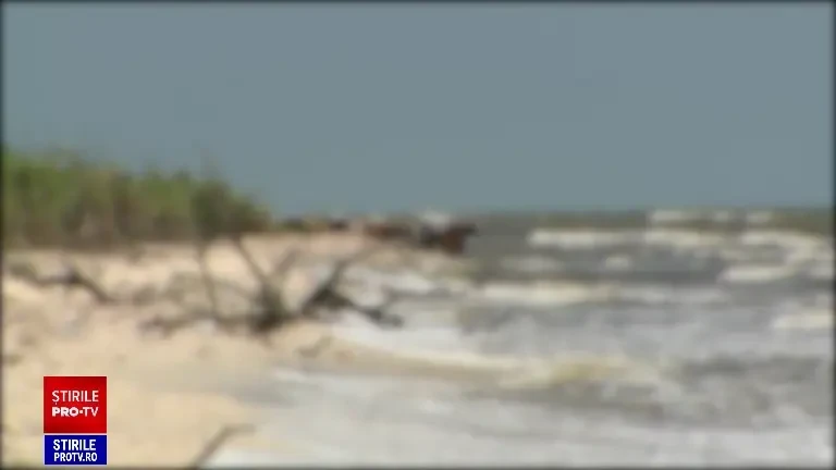 Gunoaiele aruncate cu sacii de pe vapoare au sufocat Marea Neagră și Delta Dunării. Autoritățile nu recunosc problema