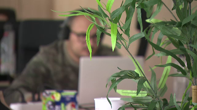 „Drepturile angajaților sunt frecvent încălcate.” Parlamentul European adoptă inițiativa privind deconectarea digitală