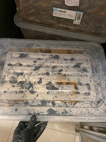 Taverna Racilor Timișoara