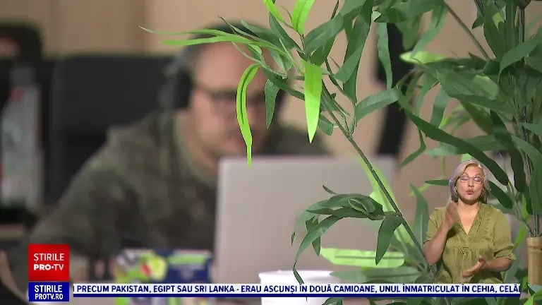 „Drepturile angajaților sunt frecvent încălcate.” Parlamentul European adoptă inițiativa privind deconectarea digitală