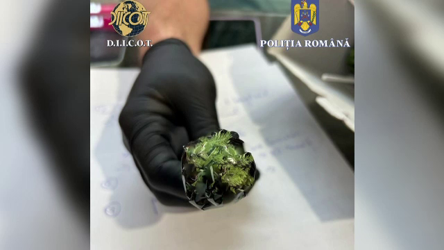 Noi informații din ancheta afacerii „Fabrica de vise”. 19 indivizi au primit control judiciar sau arest la domiciliu