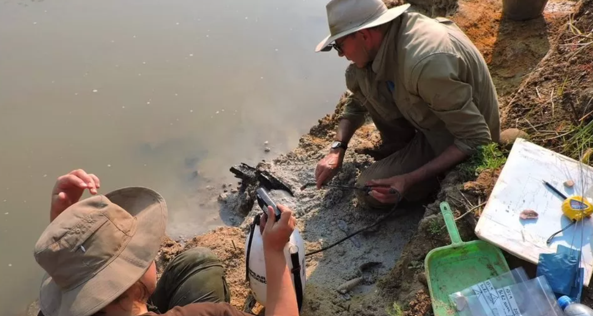 E vechi de aproape jumătate de milion de ani și are o importanță colosală. Dovada găsită de cercetători în Zambia