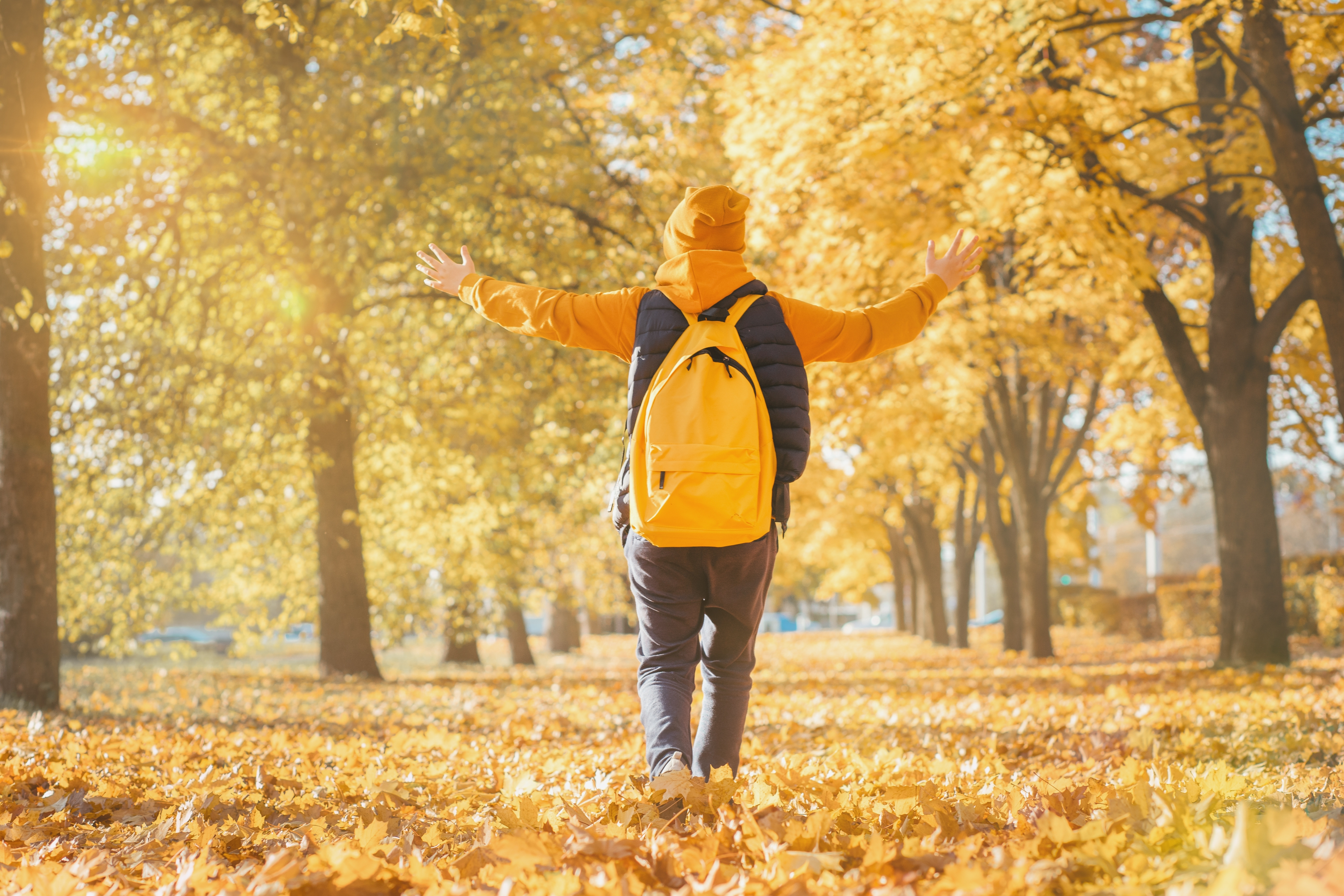 Vacanța de toamnă 2023. În București vacanța de toamnă e mai lungă. Când au elevii următoarele zile libere