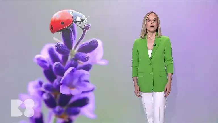 Cum putem preveni infarctul de miocard și AVC-ul. Analizele pe care trebuie să le facem frecvent