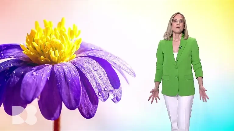 Cum aflăm dacă rinichii noștri funcționează la capacitate maximă. Examenul de urină e recomandat anual