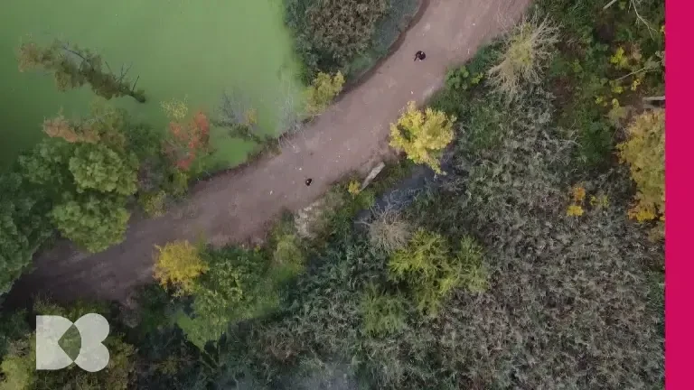 Cum ne dăm seama că avem tromboză. Tratamentul pe care îl recomandă medicii