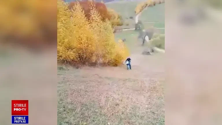 „Mamă, hai că a murit George”. Doi motocicliști au murit pe loc după ce s-au ciocnit frontal. Ar fi mers cu viteză, în pădure