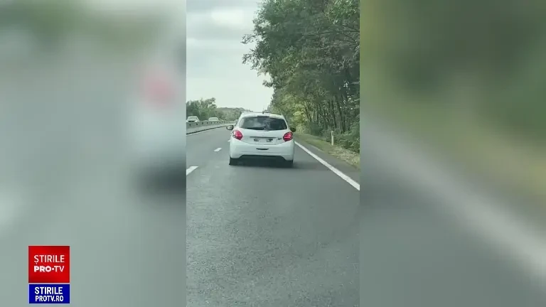 „Eu, stăpânul lumii, dezactivez conexiunea cu poliția”. Imagini șocante cu un individ oprit cu forța pe DN1