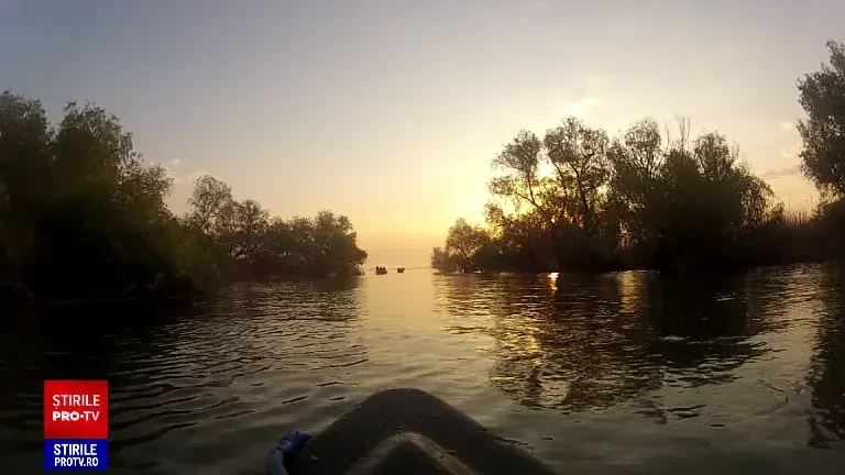 Păsările pe cale de dispariție din Delta Dunării, puse în pericol de turismul agresiv. Ce măsuri vor fi luate