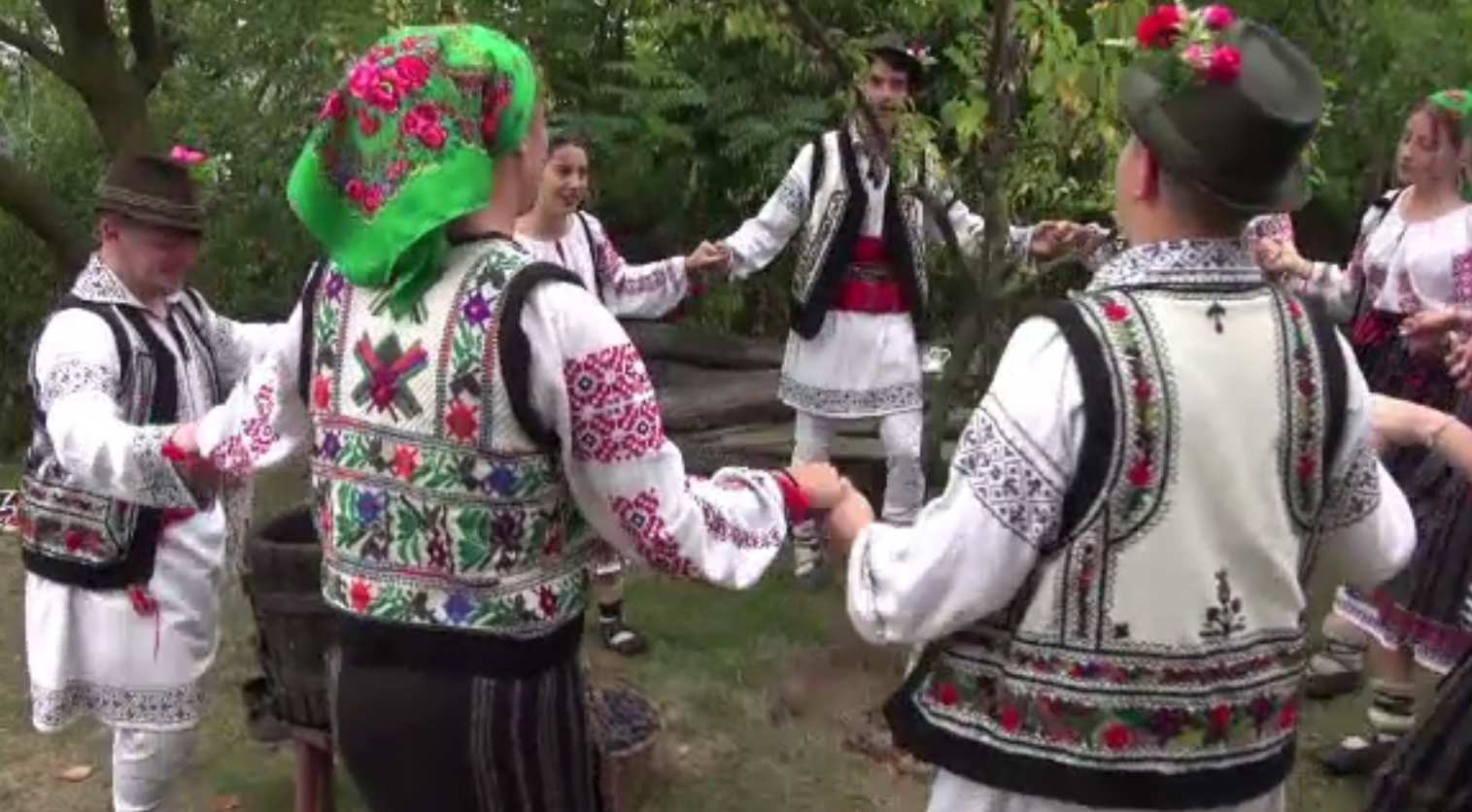 Sărbătoarea mustului, la Tupilați, Neamț. Tinerii îmbrăcați în costume populare au cules via