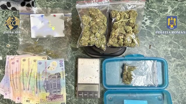 Percheziții în țară în dosare de trafic de droguri. Trei profesori au fost reținuți