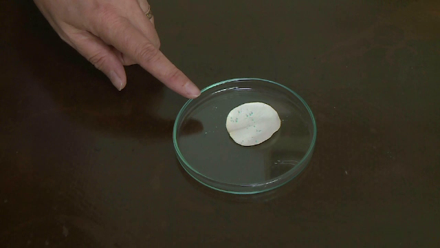 Microplasticul, interzis oficial. Particulele prezente în produse folosite zi de zi pot provoca inclusiv cancer