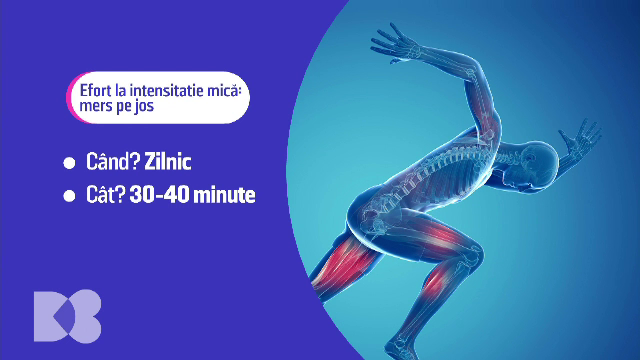 Toate afecțiunile sunt strânse în patru categorii. Ce au în comun toate acestea