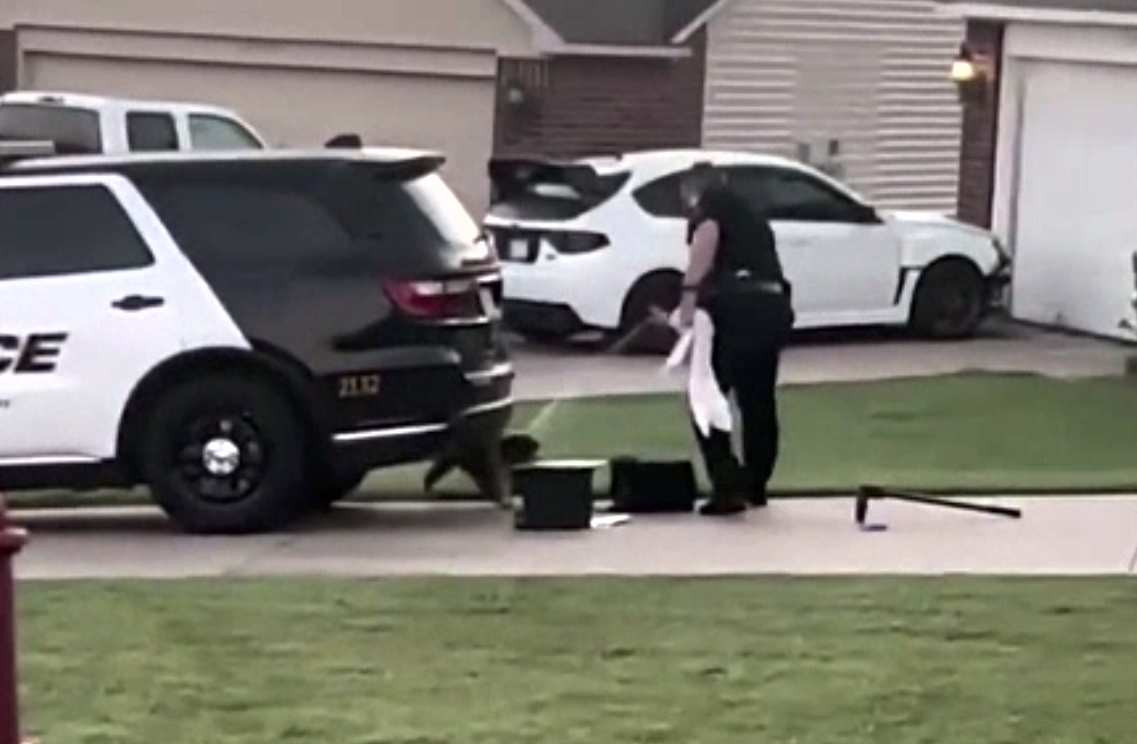 Un polițist a atacat un câine cu sprayul paralizant. Animalul nu era agresiv