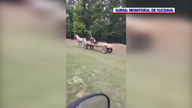 Un fermier a dat peste un străin în lanul său de porumb și a început o urmărire incredibilă