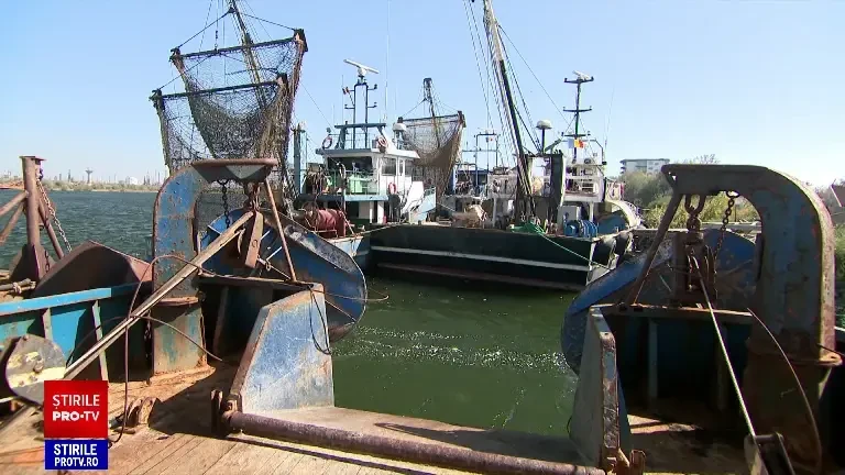 Mai multe firme de pescuit care au primit 645.000 euro trebuie să returneze întreaga sumă. Ce spune Ministerul Agriculturii