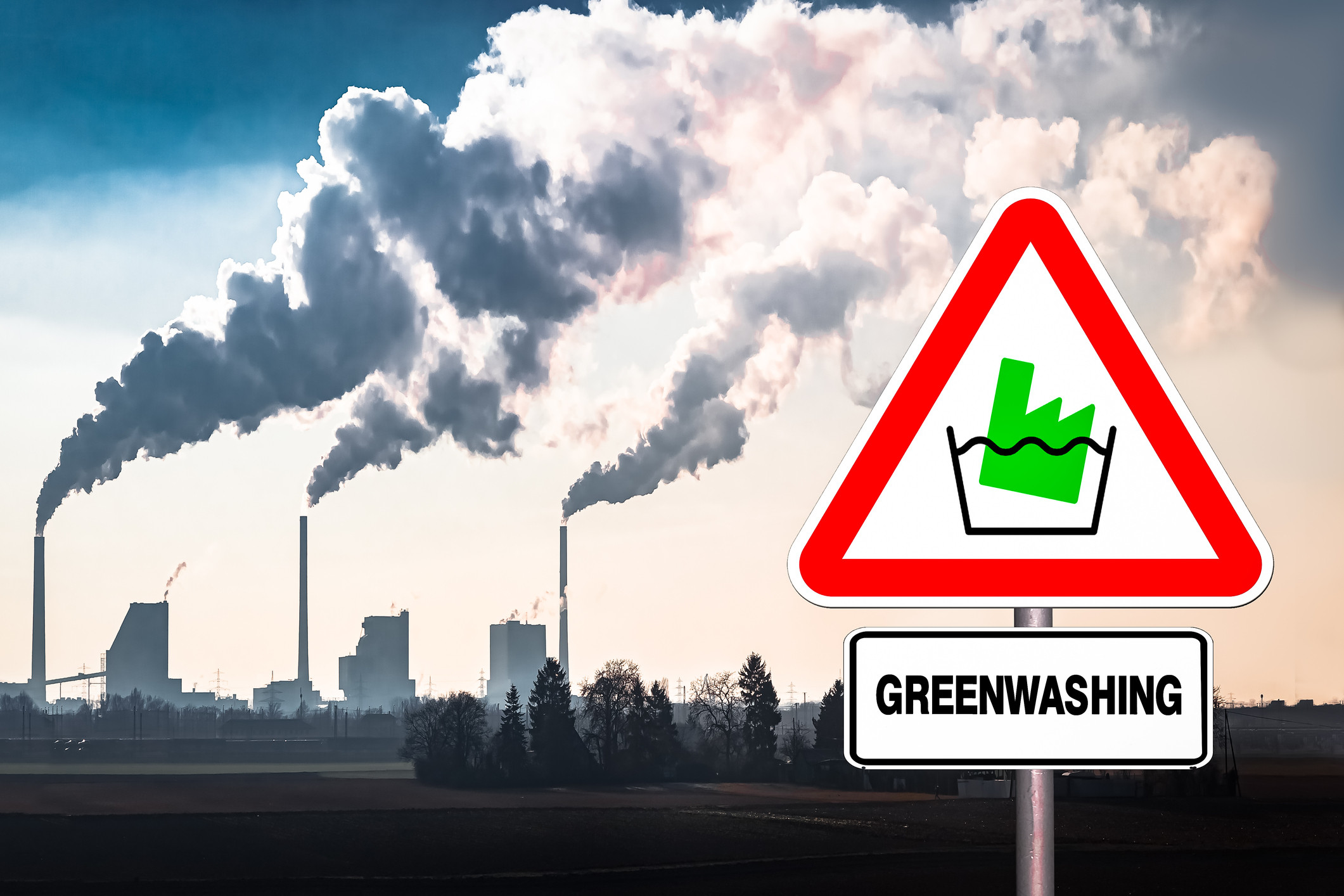 Impactul directivelor de raportare ESG și anti-greenwashing pentru business