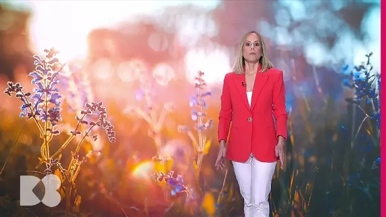 Alimentul premium care se vinde la un preț mic în magazine. Este o sursă bună de grăsimi sănătoase