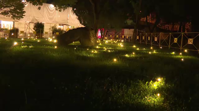 Timișoara a devenit capitala europeană a luminii. Lebede viu colorate și un câmp plin de licurici, la festivalul Lights On