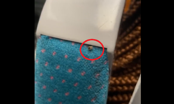 Avertisment pentru turiști. Capitala europeană în care ploșnițele au luat cu asalt transportul în comun și spitalele | VIDEO