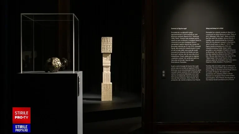 S-a deschis expoziția Brâncuși din Timișoara. Toate biletele pentru prima zi de vizitare au fost vândute