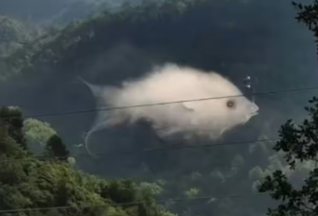 Iluzie optică. Primul lucru pe care îl vezi îți dă indicii importante despre personalitatea ta