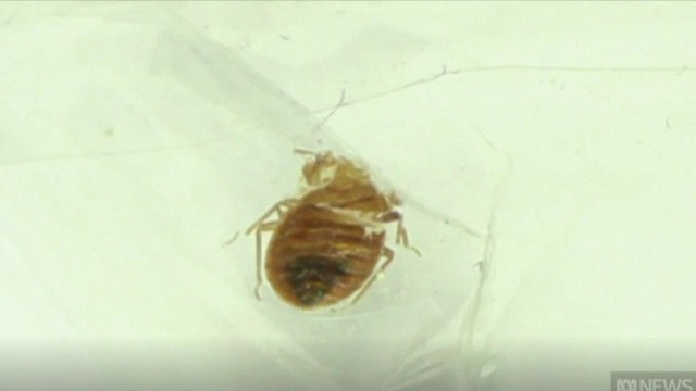 Lovitură de imagine pentru Paris, unde vor avea loc Jocurile Olimpice de Vară 2024. Metroul parizian, invadat de ploșnițe