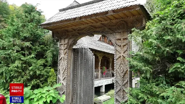 Invazie de ploșnițe de pat la o pensiune din Maramureș. Turiștii au fugit a doua zi, proprietarul spune că le-au „plantat”