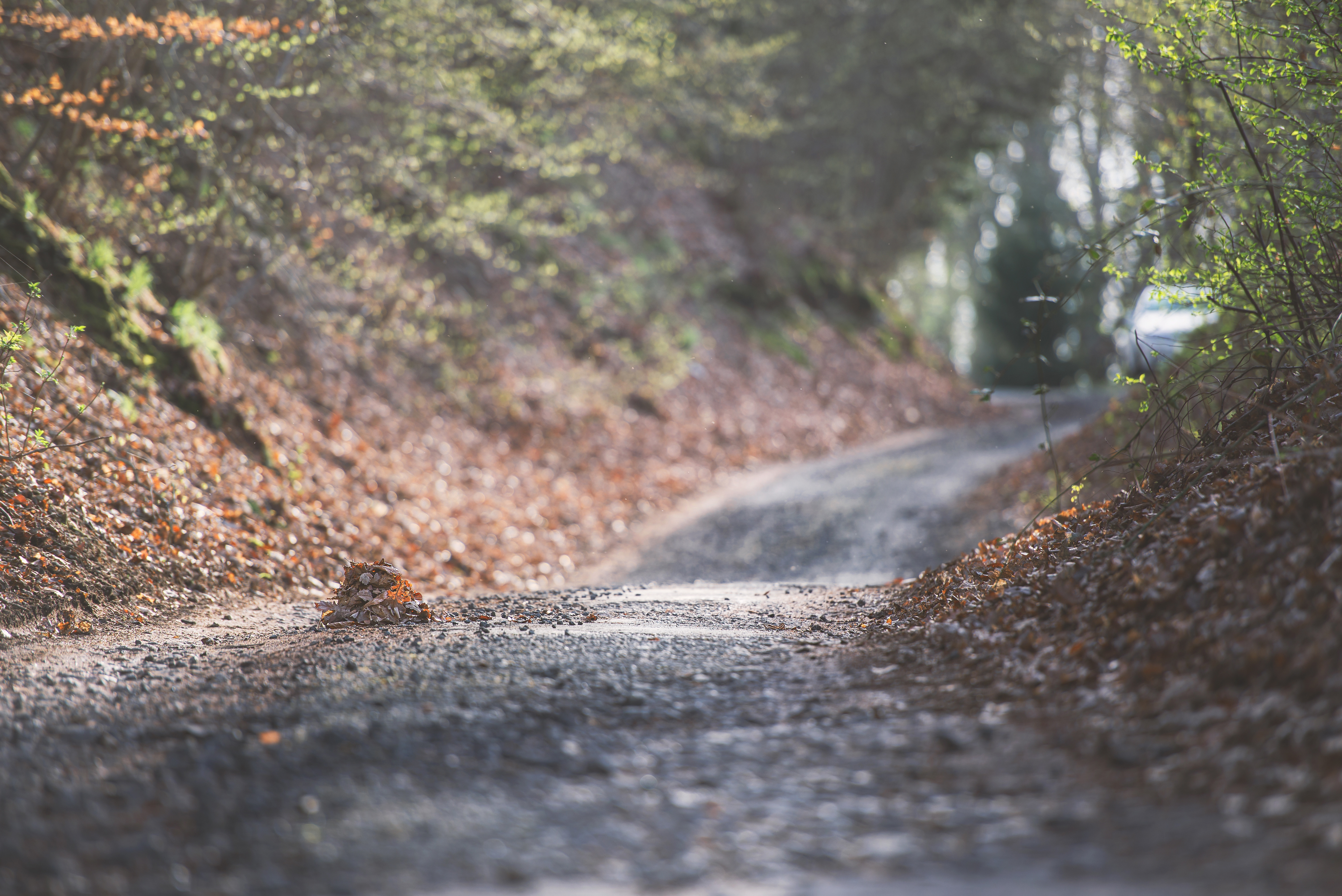 A vrut să se salveze de la moarte, dar nu a reușit. O femeie din Neamț a sărit dintr-o mașină rămasă fără frâne, în pădure