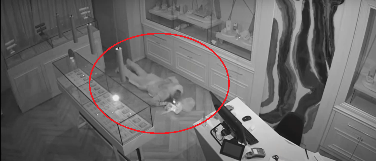 Jaf ca în filme într-un magazin din Craiova. Un hoț s-a târât pe podea și a furat bijuterii de 900.000 de lei. VIDEO