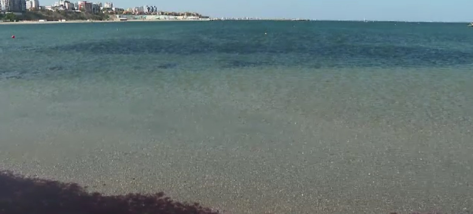 Fenomen spectaculos în Marea Neagră. O creatură marină a invadat litoralul românesc, iar apa și-a schimbat culoarea