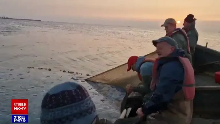 Fenomen spectaculos în Marea Neagră. O creatură marină a invadat litoralul românesc, iar apa și-a schimbat culoarea