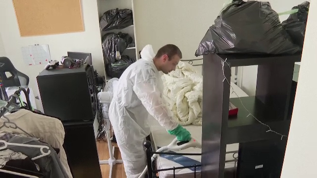 Războiul cu ploșnițele continuă în Franța. Firmele de dezinsecție sunt chemate tot mai des să facă curat în apartamente