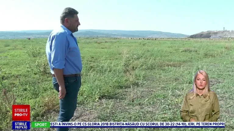 „Toți banii s-au dus în van.” Românii care au vrut să își împădurească pârloagele s-au trezit că sunt în afara legii