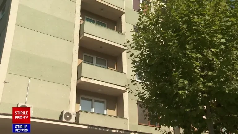 Cluj-Napoca, invadat de insecte inofensive dar urât mirositoare. „E o specie nou venită în România, își caută locuri de cuib”