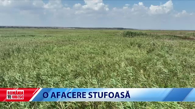 „Minune” în România. Apele din Deltă au fost declarate pășune