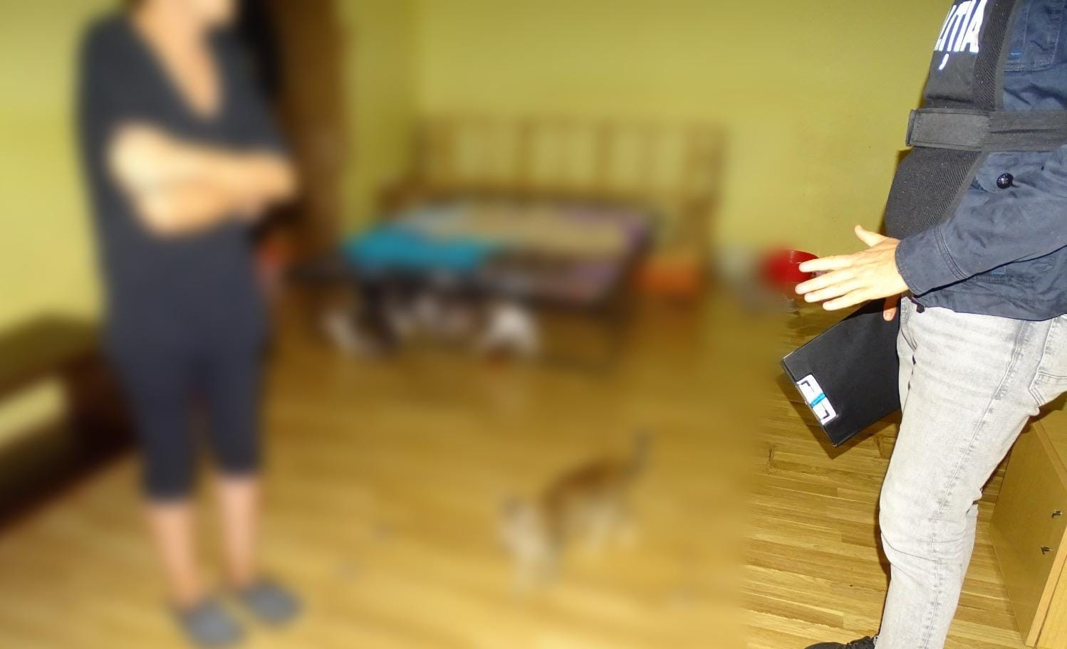 Percheziţii într-un dosar de abuz în serviciu şi fals în Argeș. Este vizat şi un primar de comună